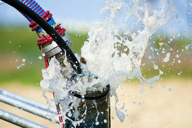 istockphoto 498509481 612x612